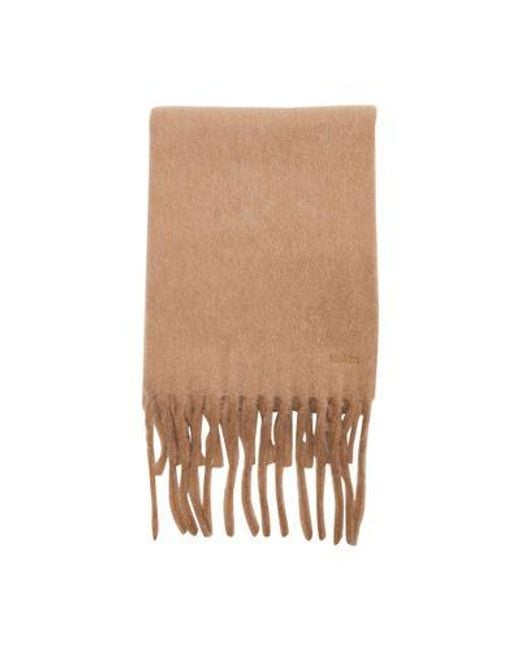 Max Mara Brown Schal Osso