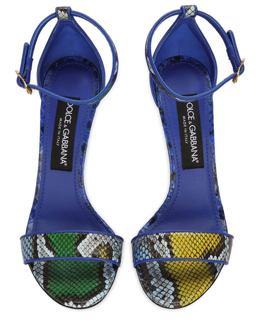 Dolce & Gabbana Blue Python-Sandalen DG Barocco