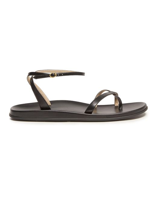 The Row Black Hugh Ankle Strap Sandals