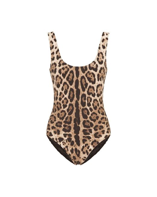 Dolce & Gabbana Brown One-Piece Swimsuit