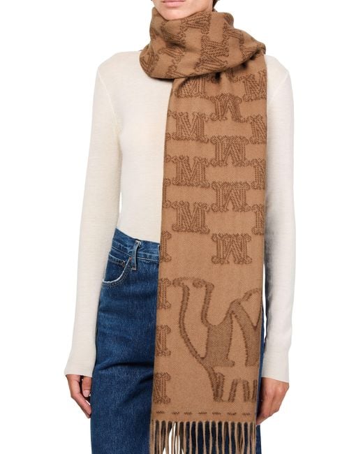Écharpe Wsteddy Max Mara en coloris Brown