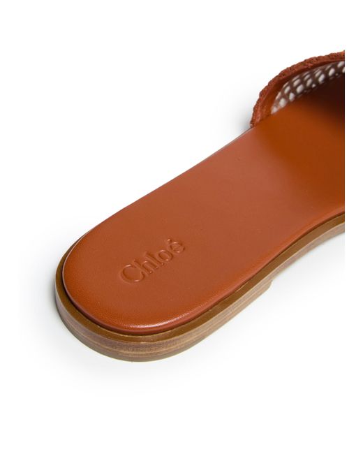Mules Soleil Chloé en coloris Brown