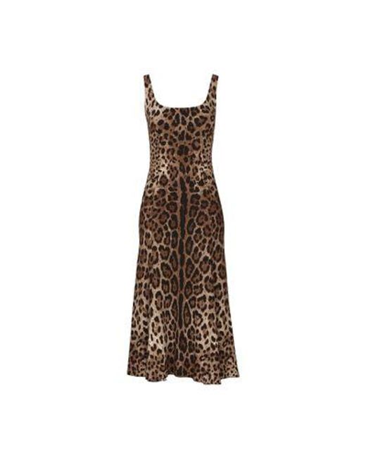 Dolce & Gabbana Brown Calf-length Cady Dress