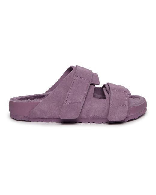 Birkenstock 1774 Purple X Tekla for men