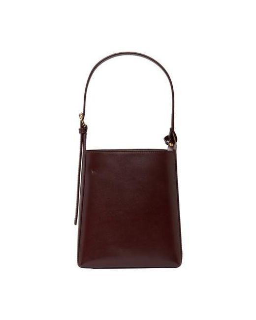 apc virginie