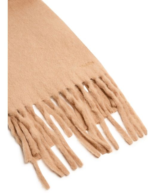 Max Mara Brown Schal Osso