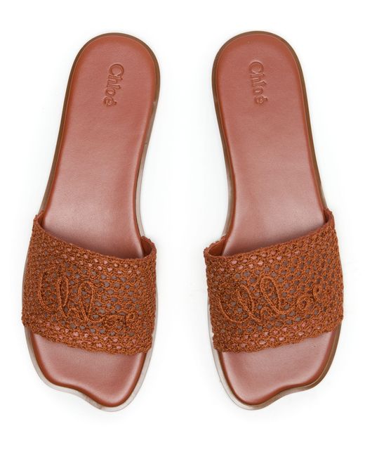 Mules Soleil Chloé en coloris Brown