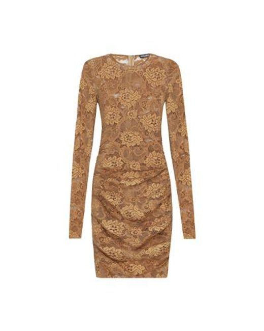 Dolce & Gabbana Brown Short Floral Lace Dress