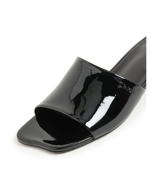 Chloé Black Calf Leather Bos Taurus Mules
