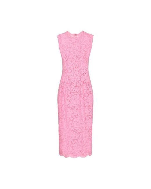 Dolce & Gabbana Pink Branded Stretch Lace Calf-Length Dress