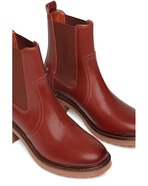 Vanessa Bruno Leather Chelsea Boots in Brown Lyst