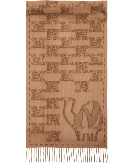 Écharpe Wsteddy Max Mara en coloris Brown