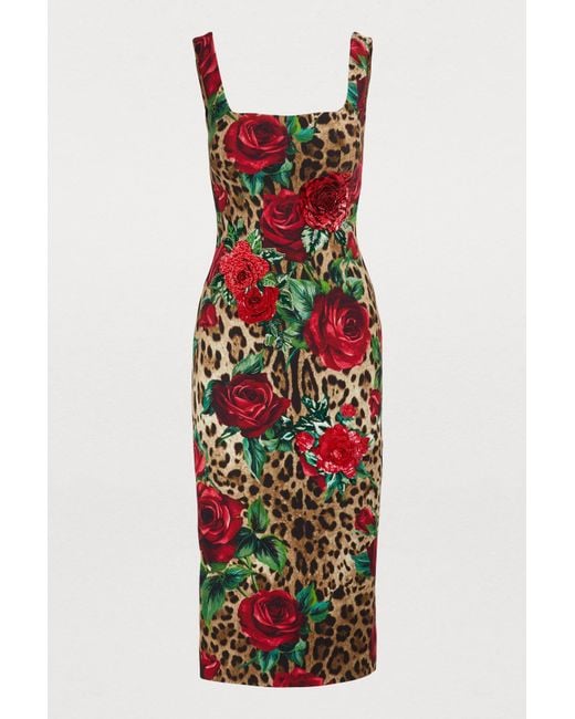 Dolce & Gabbana Multicolor Leopard And Rose Print Midi Dress