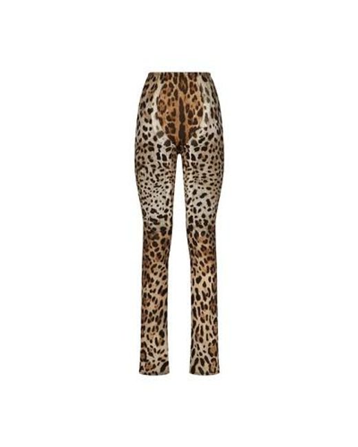 Dolce & Gabbana Metallic Kim Dolce&gabbana Leopard Print Trousers