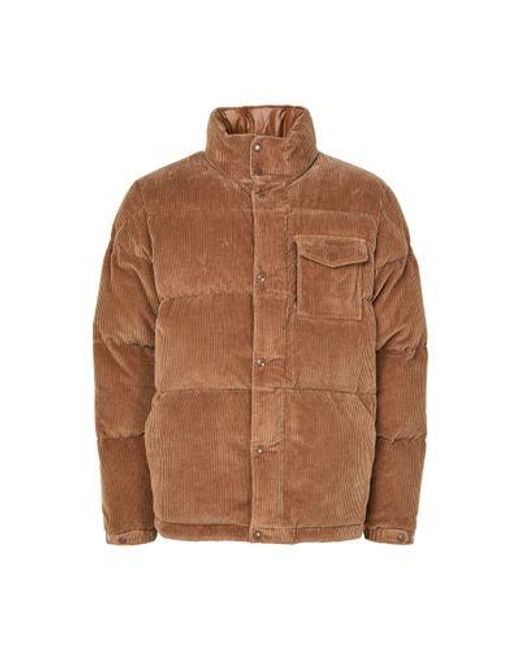 Moncler Brown Serrant Doudoune for men