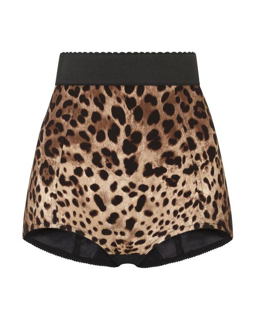 Dolce & Gabbana Brown High-waisted Charmeuse Panties With Leopard Print