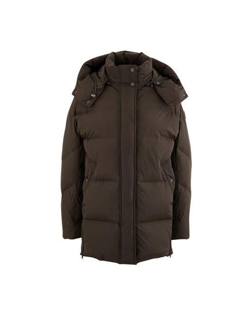 woolrich aurora jacket