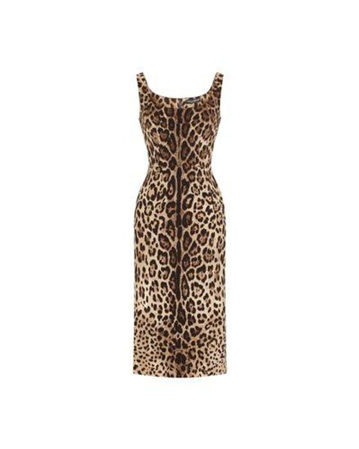 Dolce & Gabbana Brown Charmeuse Calf-Length Dress With Leopard Print