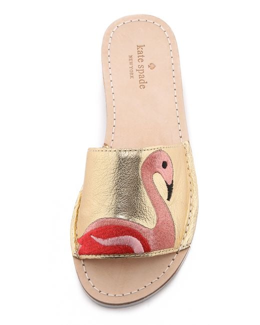 Kate spade flamingo flip deals flops
