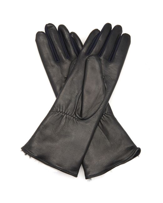 Agnelle Rabbitfur Lined Leather Gloves in Black Lyst