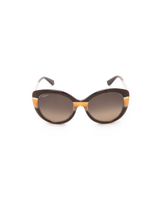 Ferragamo Brown Cat Eye Sunglasses