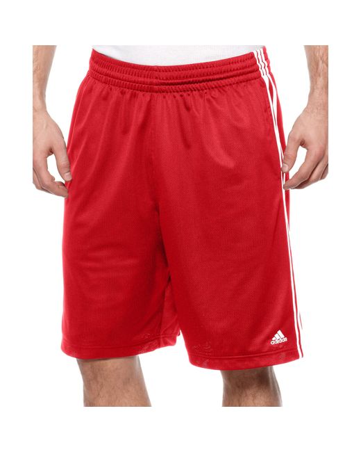 adidas Basketball Triple Up Basketball Shorts in White for Men Lyst