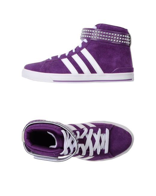 Adidas Neo High-Tops & Trainers in Purple for Men | Lyst