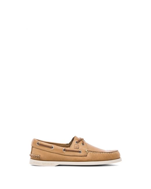 steve madden tule