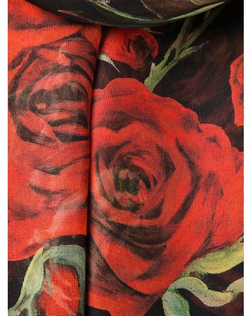 Dolce & Gabbana Roses Print Scarf in Red | Lyst