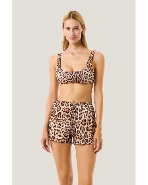 4giveness Multicolor Short Leopard Basic