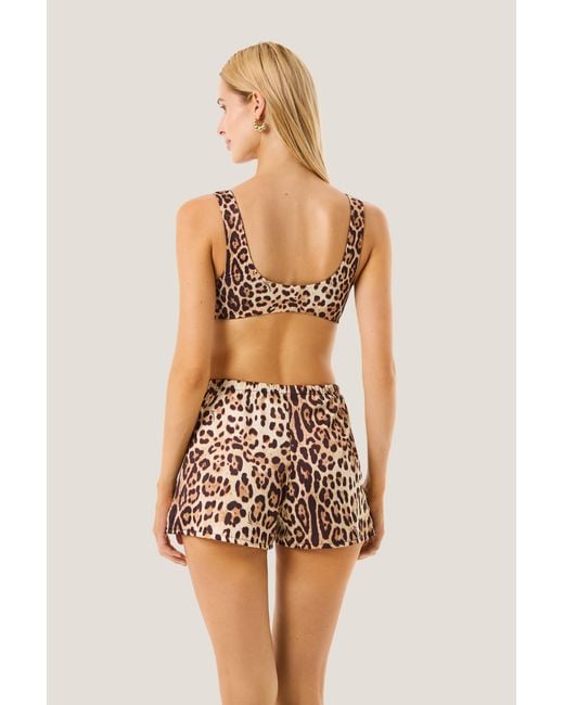 4giveness Multicolor Short Leopard Basic