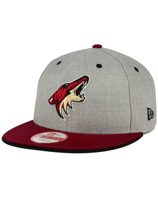 phoenix coyotes beanie
