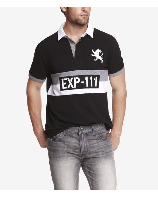 Express Stripe Graphic Large Lion Polo 