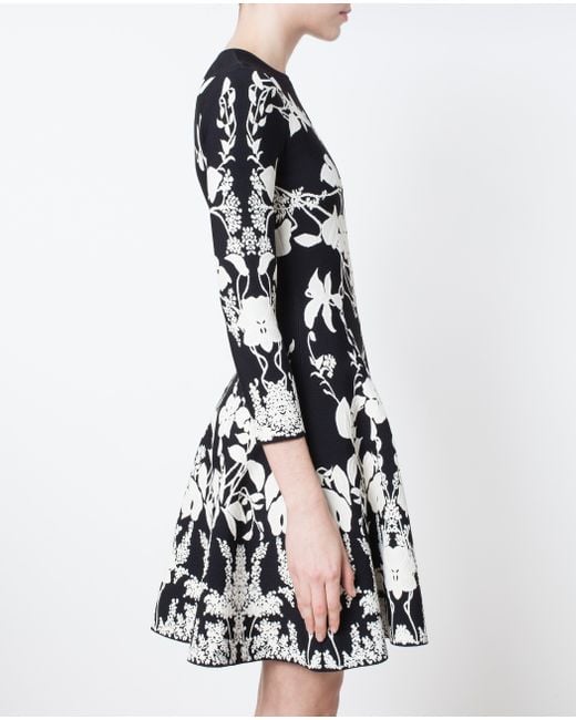 Alexander mcqueen black hotsell and white dress