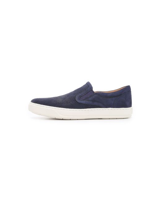 snake print slip on sneakers vince ace snake print slip on sneakers in blue for lyst snake print slip on sneakers vince ace snake print slip on sneakers in blue for lyst
