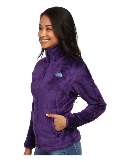 The North Face Osito 2 Jacket in Purple 