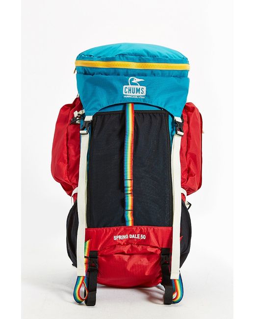 Chums Blue Springdale 50 Men's Backpack for men