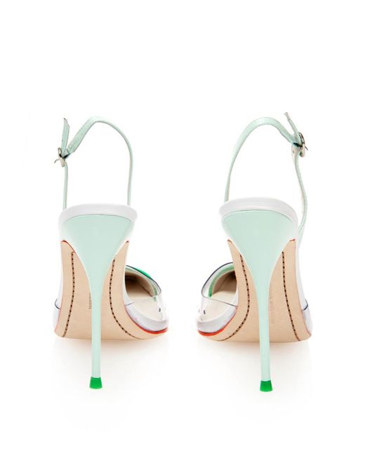 Sophia shop webster daria