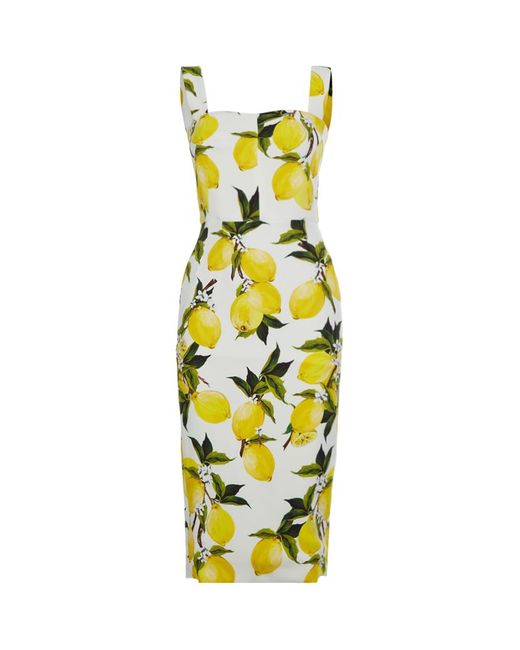 Dolce & Gabbana Multicolor Lemon Pencil Dress