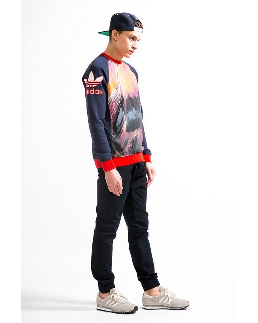 يدعو زود الطعام نظف adidas thrasher 