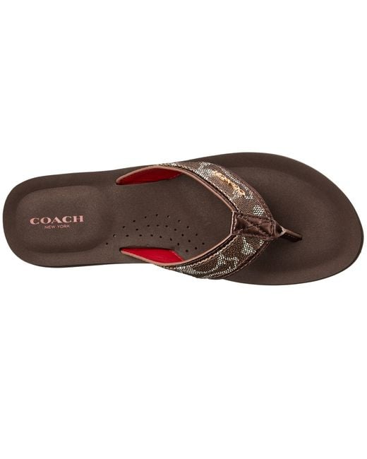 Coach judy hotsell flip flops