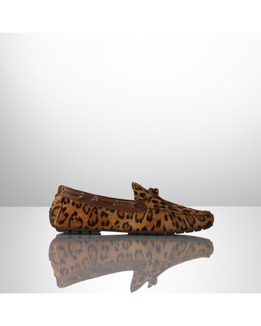 Ralph Lauren Multicolor Harold Leopard Loafer for men
