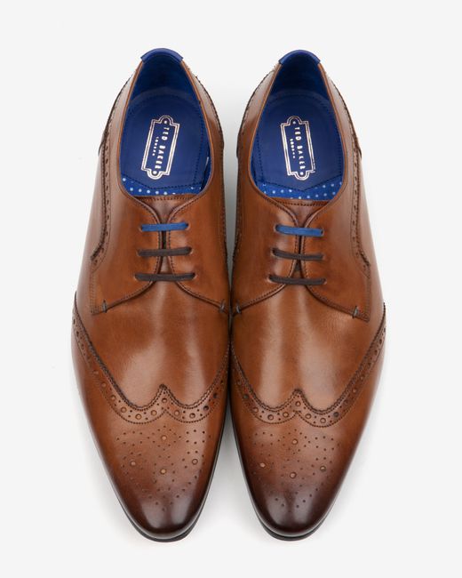 ted baker brogues