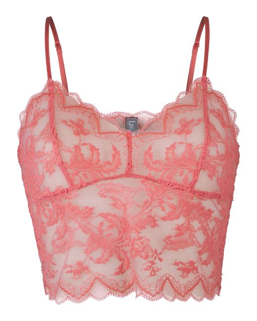 Lingadore Pink Lingadore Bh
