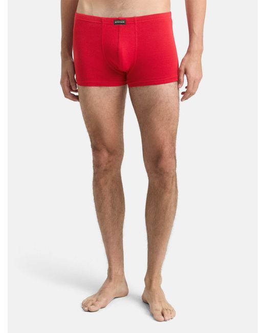 Tom Tailor Boxershorts in Red für Herren