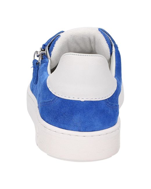 Sioux Blue Sneaker Tedroso