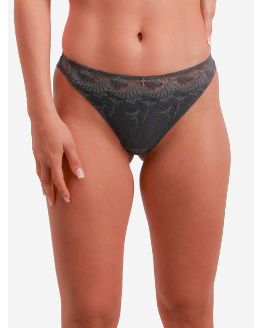 Joop! Gray String Beautiful