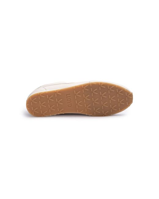 Lloyd White Sneaker Velocity