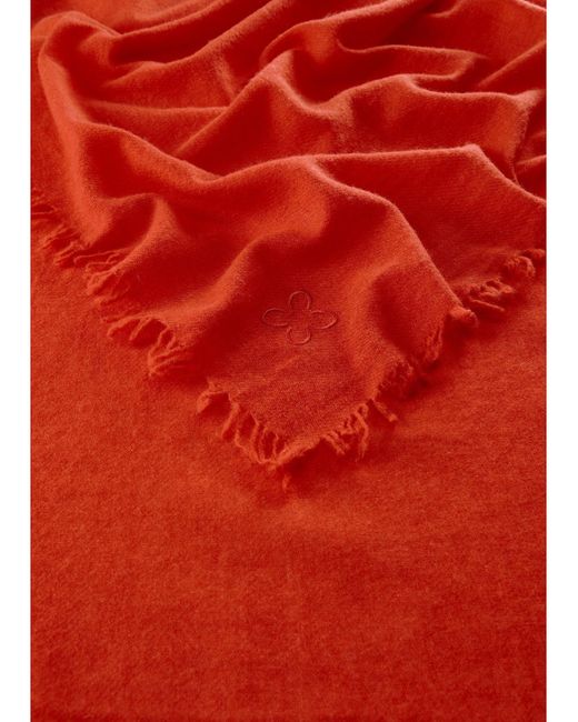 Codello Red Schal