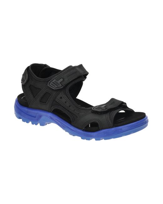 Ecco Sandale in Blue für Herren